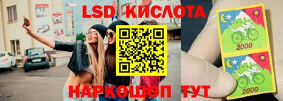 ешки Бердск