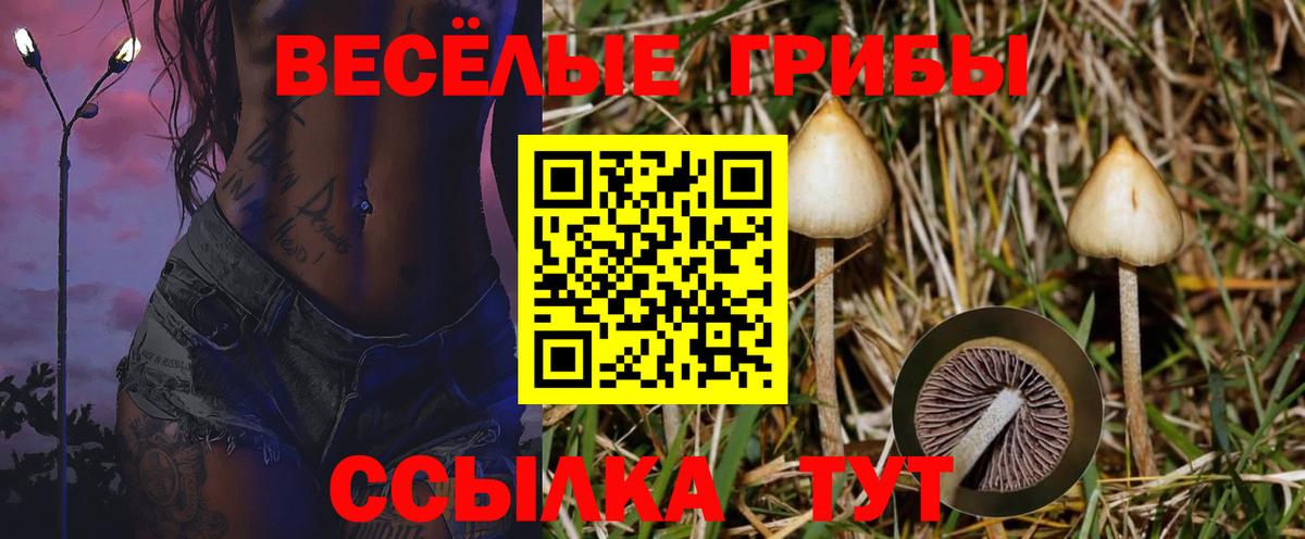 Псилоцибиновые грибы MAGIC MUSHROOMS Омск