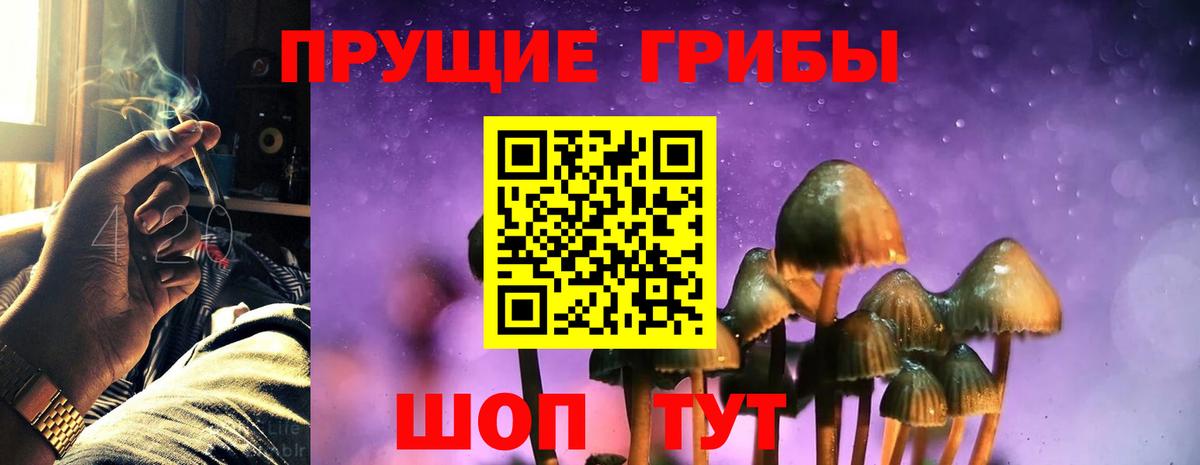 Галлюциногенные грибы Cubensis  Галлюциногенные грибы Cubensis  Вход с VPN  Омск 